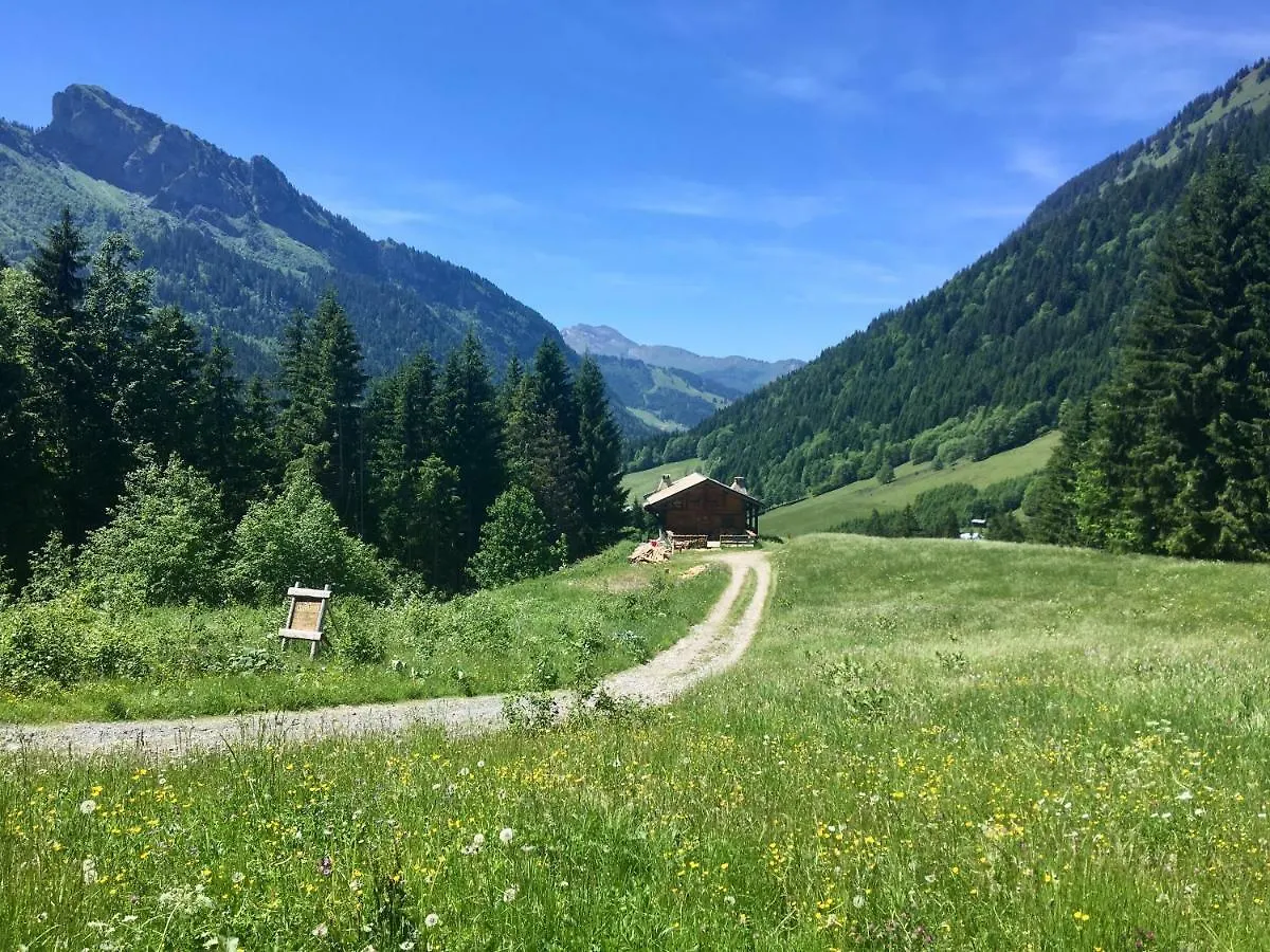 Chalet Marmotte 3 Morzine 0*,